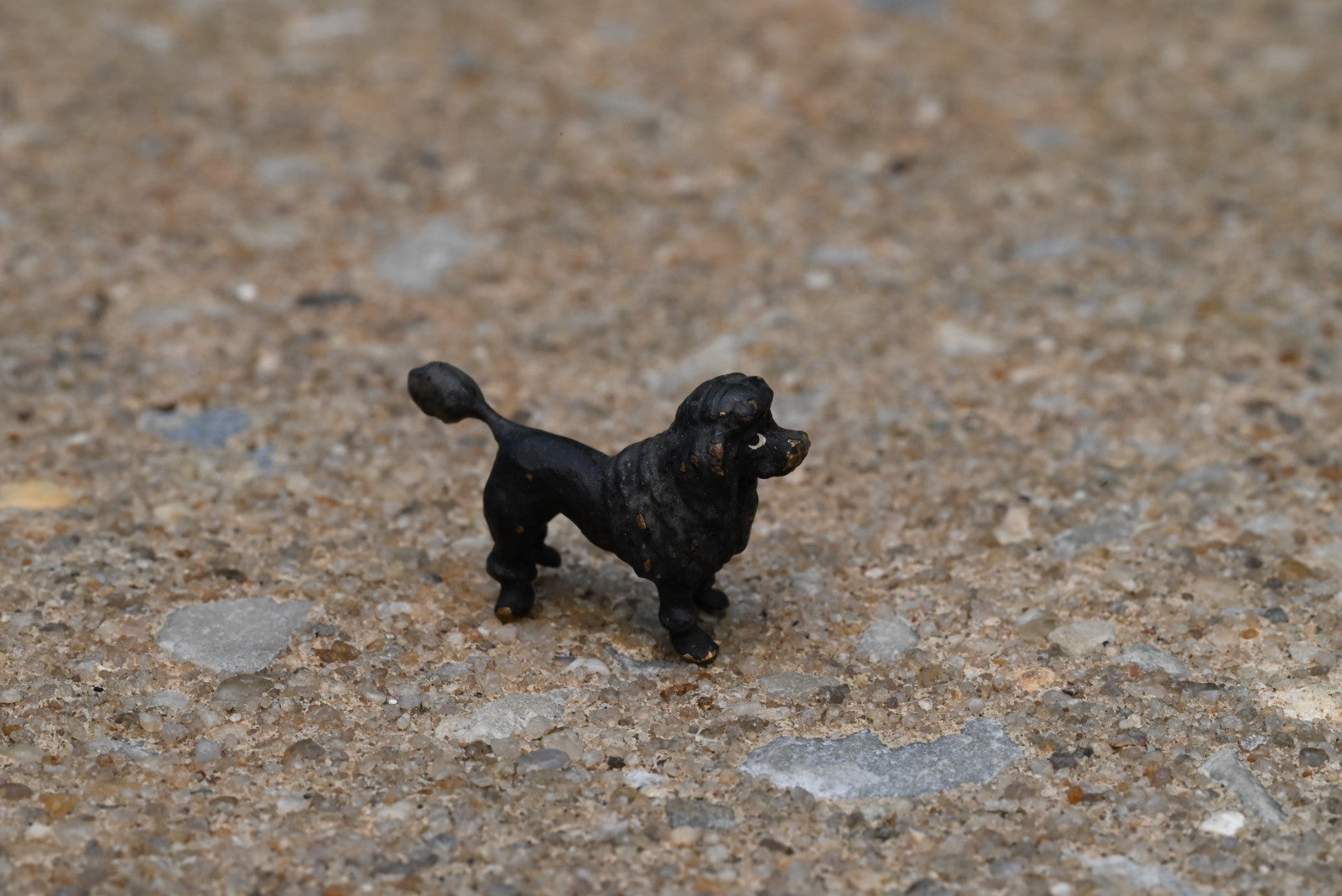 Original Antique Austrian Vienna Cold Painted Bronze Figure of Black Poodle Dog2