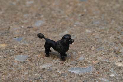 Original Antique Austrian Vienna Cold Painted Bronze Figure of Black Poodle Dog2