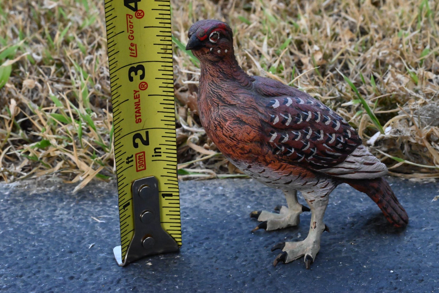 Beautiful Austrian Vienna Cold Painted Bronze Figure of  Partridge Game Bird8