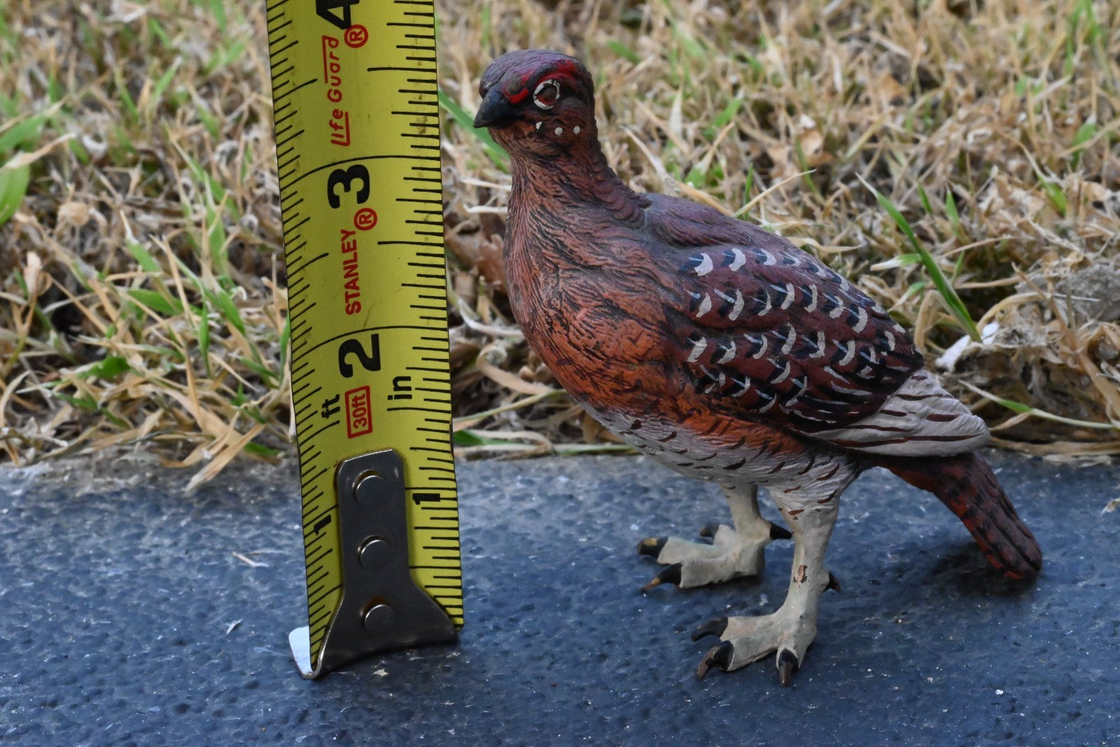 Beautiful Austrian Vienna Cold Painted Bronze Figure of  Partridge Game Bird8
