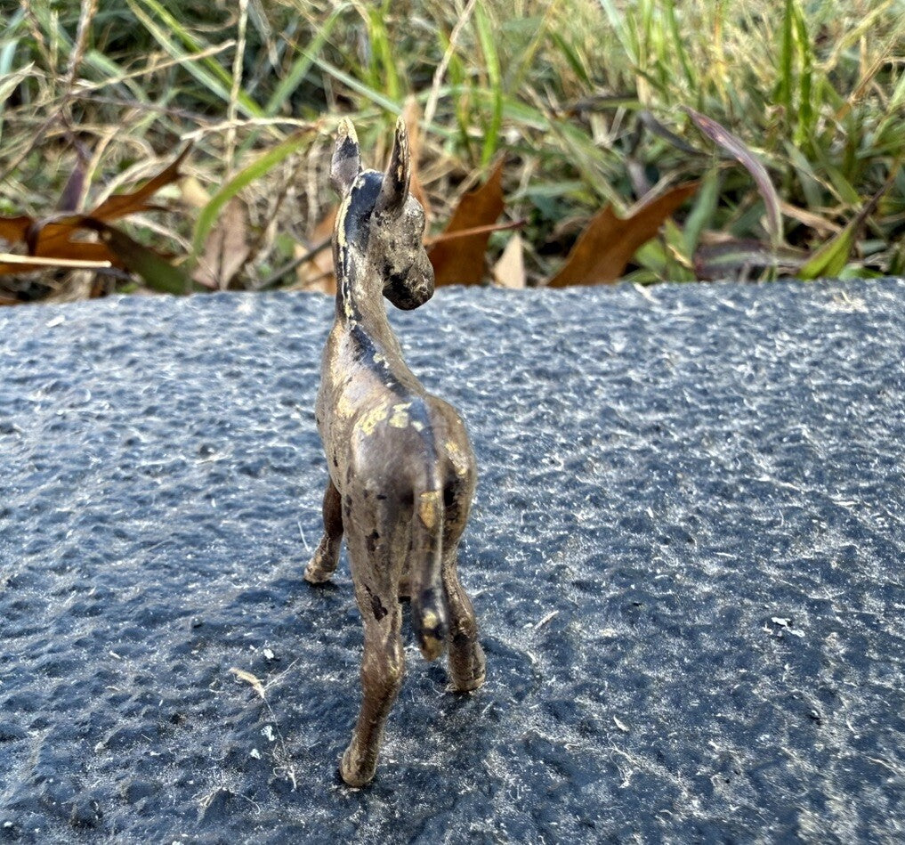 Cute Antique Austrian Vienna Cold Painted Bronze Figure of Young Donkey Foal4
