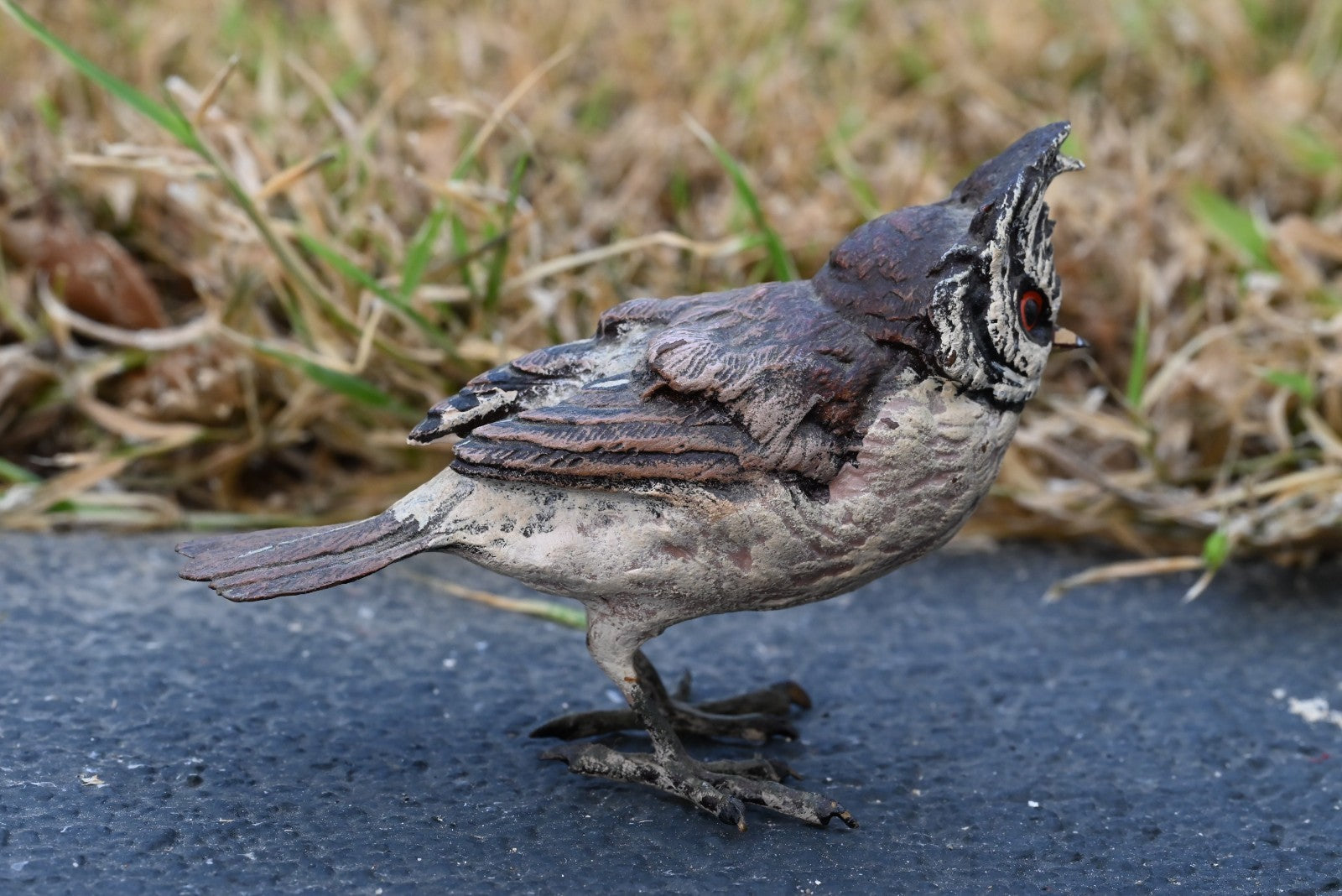 Gorgeous Austrian Vienna Cold Painted Bronze Figure of Black-crested Titmouse4