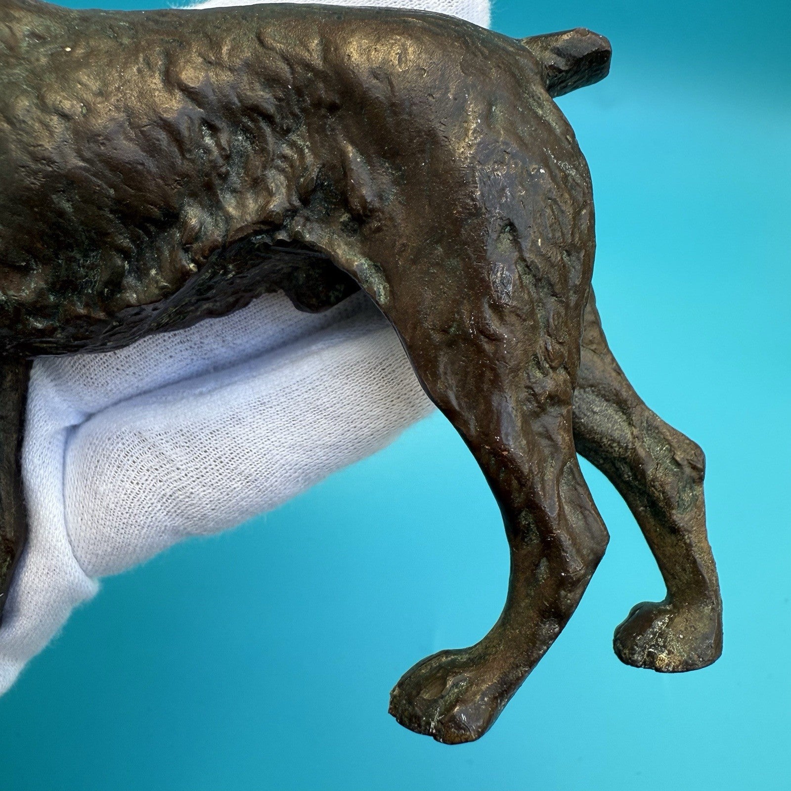 Antique 1900s Austrian Vienna Cold Painted Bronze Figure of Giant Schnauzer3