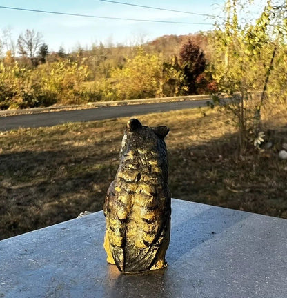 Amazing Antique Austrian Vienna Cold Painted Bronze Figure of Owl6