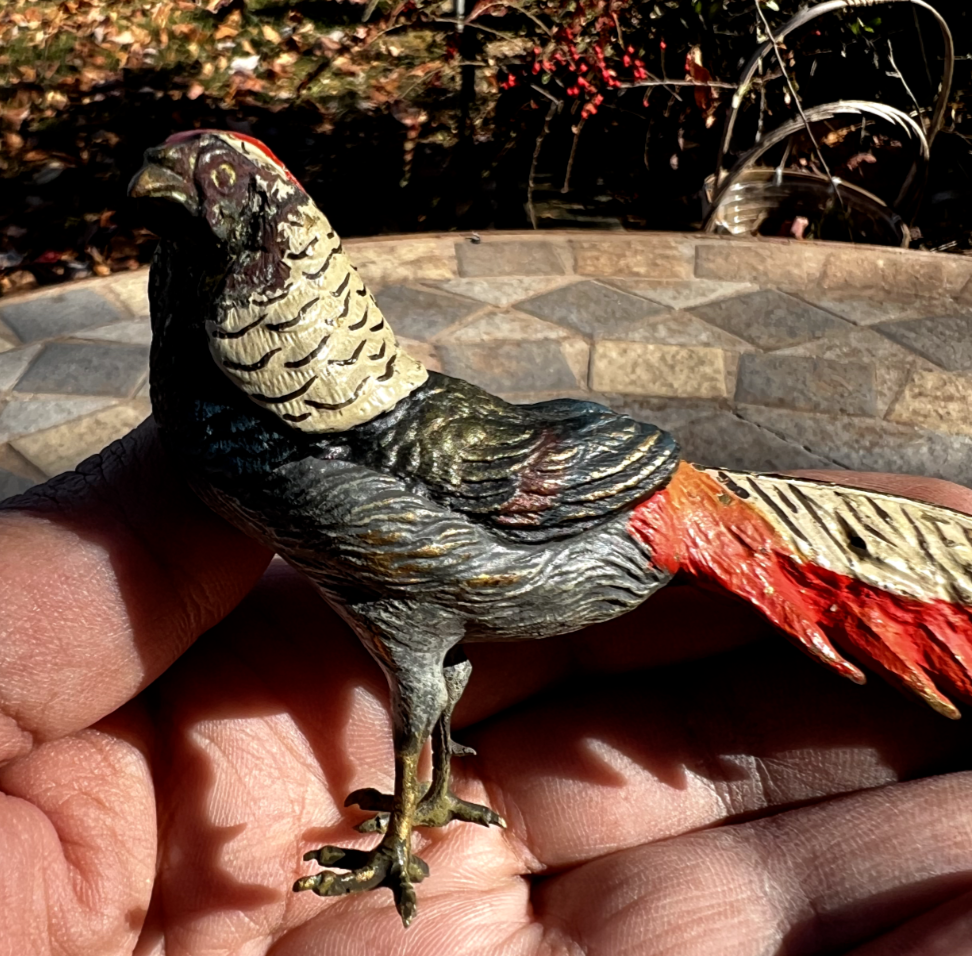 Antique Austrian Vienna Cold Painted Bronze Figure of Amherst Pheasant8