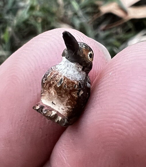Antique Austrian Vienna Cold Painted Bronze Figure of Miniature Kingfisher Bird0