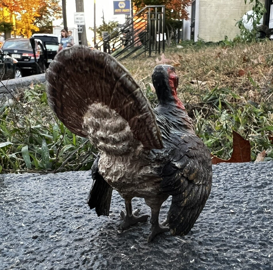 Beautiful  Antique Austrian Vienna Cold Painted Bronze Figure of Turkey4