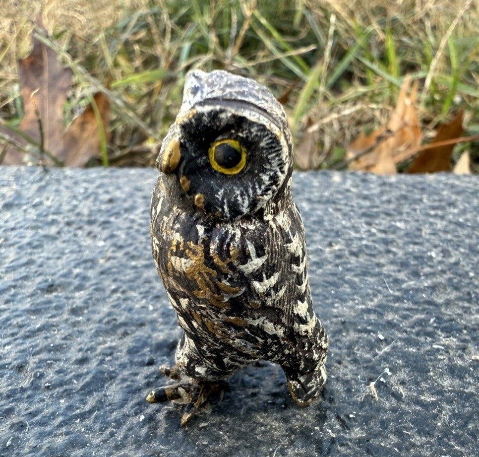 Amazing Antique Austrian Vienna Cold Painted Bronze Figure of Owl4