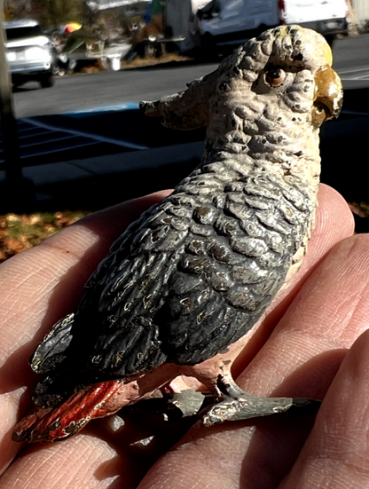 Original Antique Austrian Vienna Cold Painted Bronze Figure of Cockatoo12