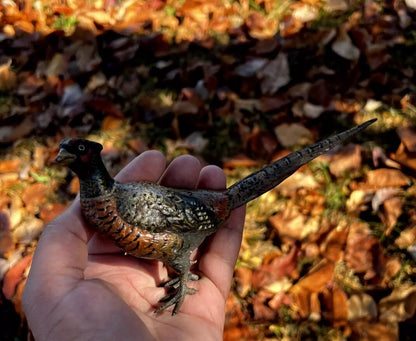 Gorgeous Large Antique Austrian Vienna Cold Painted Bronze Figure of Pheasant0