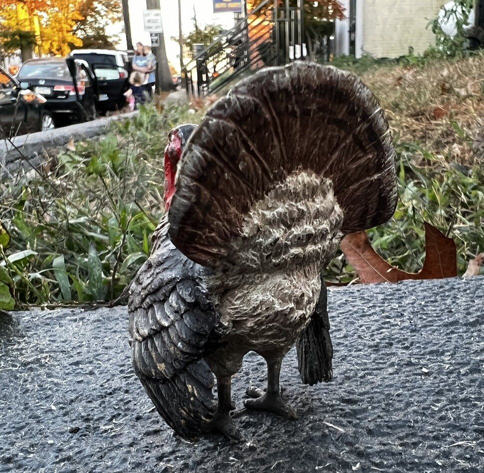 Beautiful  Antique Austrian Vienna Cold Painted Bronze Figure of Turkey3