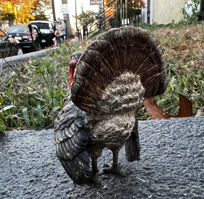 Beautiful  Antique Austrian Vienna Cold Painted Bronze Figure of Turkey3