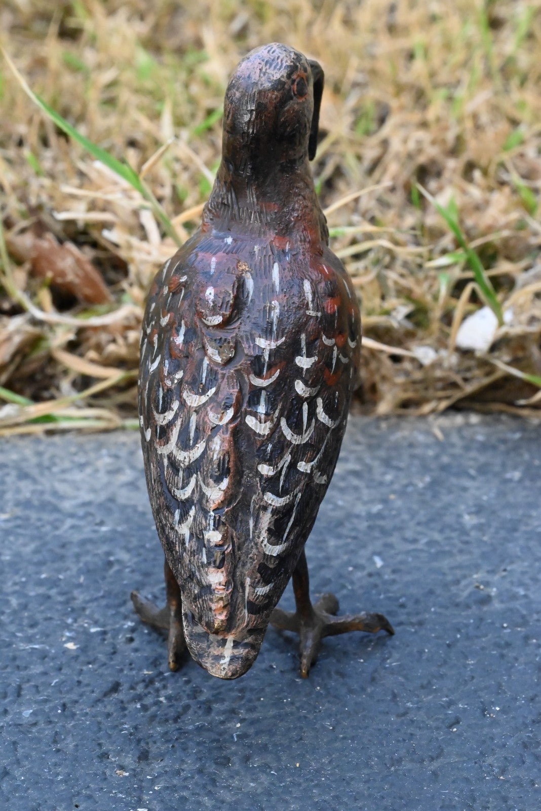 Amazing Austrian Vienna Cold Painted Bronze Figure of American Woodcock Bird4