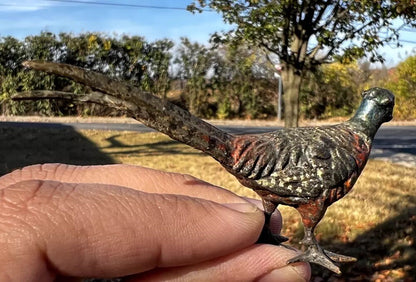 Antique Austrian Vienna Cold Painted Bronze Figure of Ring Neck Pheasant6
