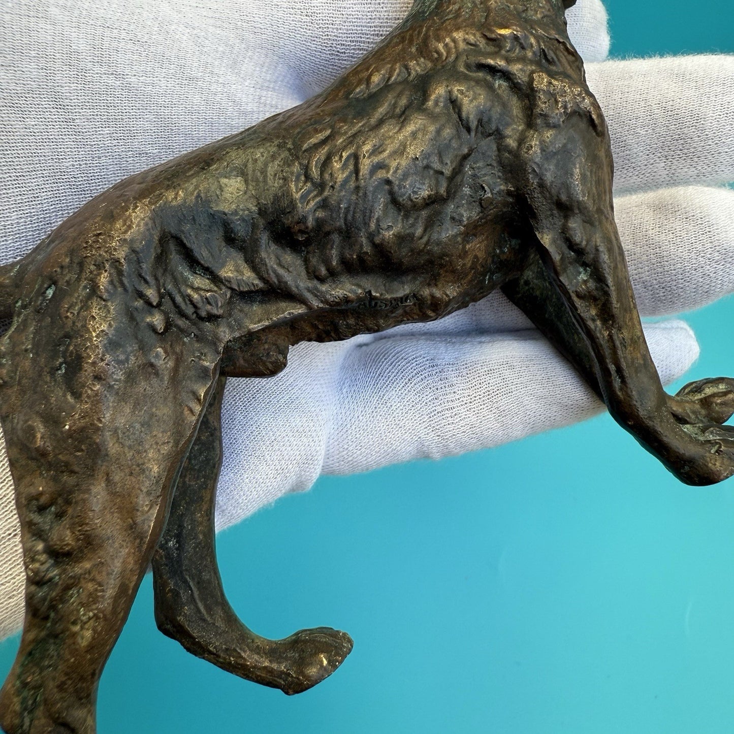 Antique 1900s Austrian Vienna Cold Painted Bronze Figure of Giant Schnauzer6