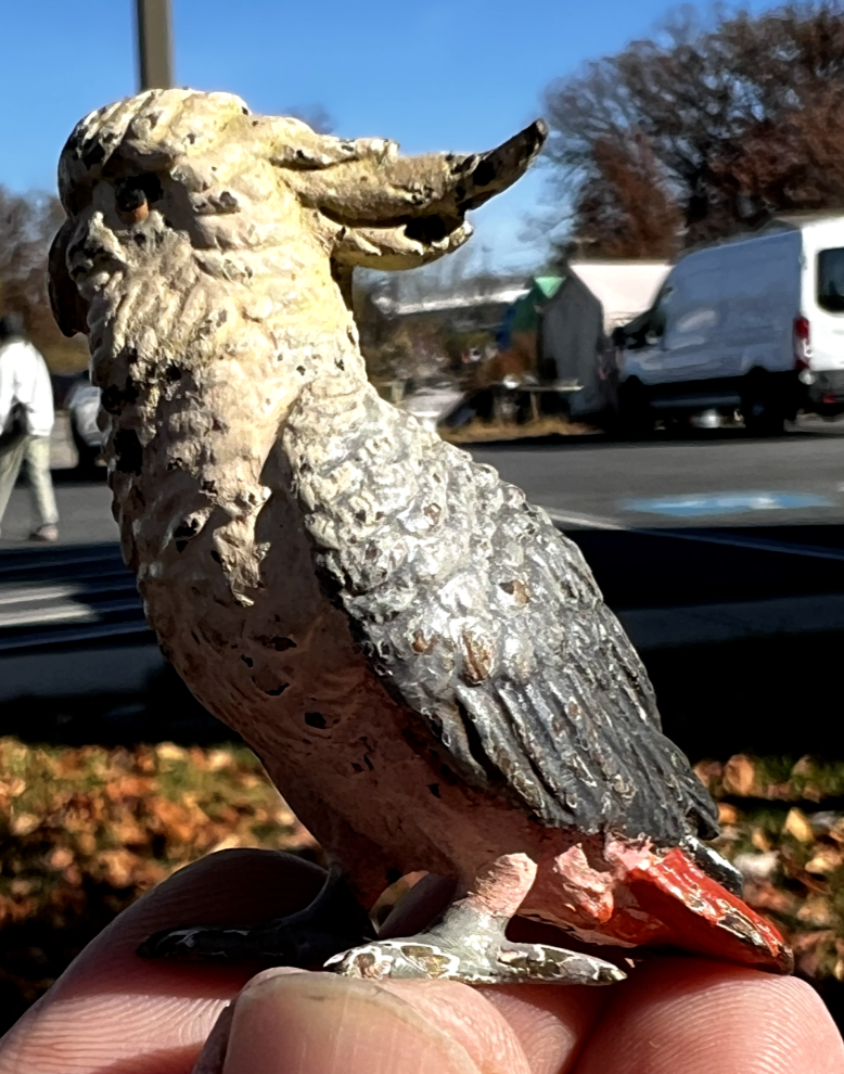 Original Antique Austrian Vienna Cold Painted Bronze Figure of Cockatoo8