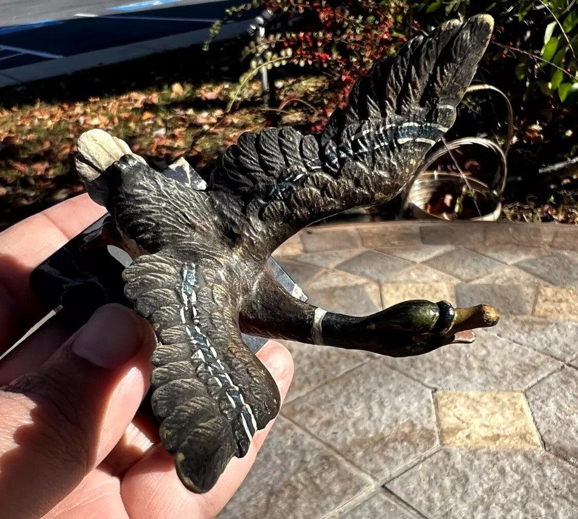 Antique Austrian Vienna Cold Painted Bronze Figure of Flying Duck4