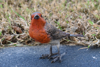 Lovely Austrian Vienna Cold Painted Bronze Bird Figure of European Robin1