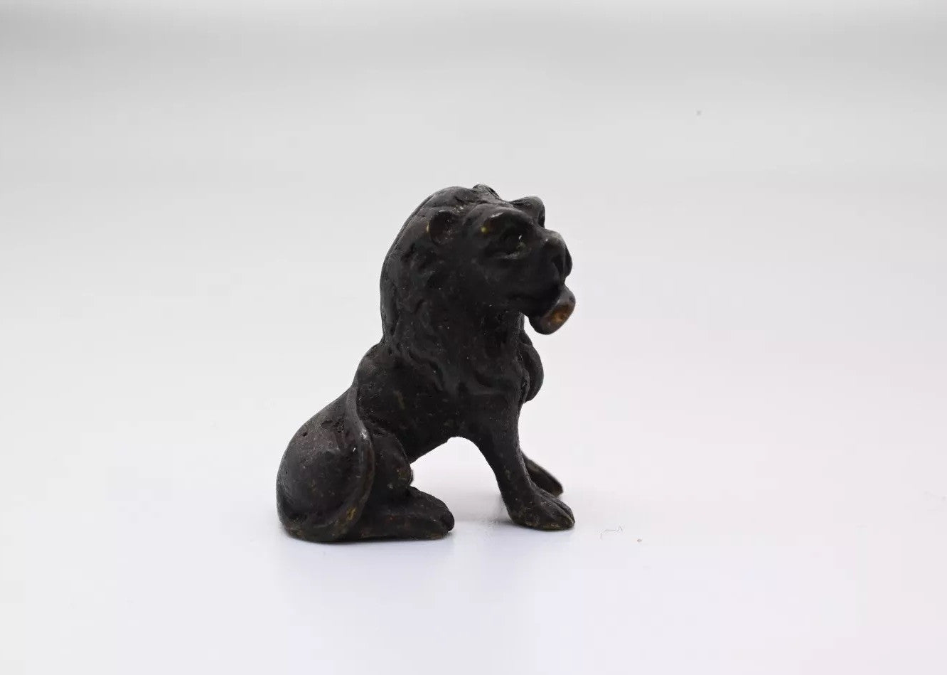 Antique Austrian Vienna Style Cold Painted Bronze Figure of Black Lion5