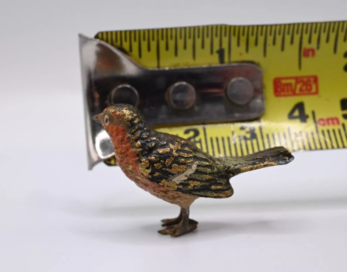 Lovely 1900s Antique Austrian Vienna Cold Painted Bronze European Robin5