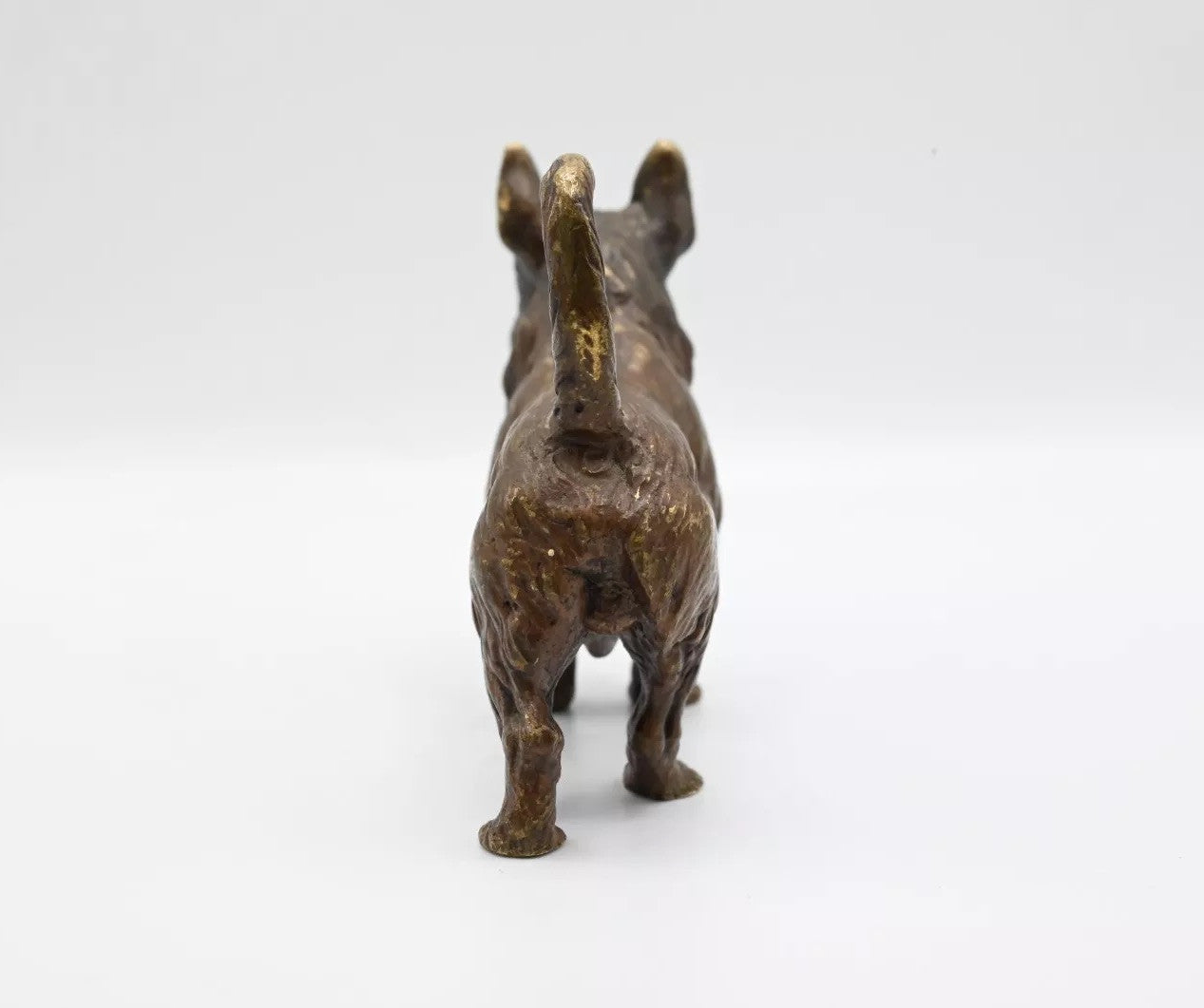 Wonderful Antique Bronze Figure Of Scottish Terrier Possibly German Or French3
