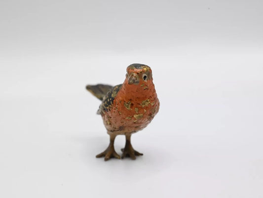 Lovely 1900s Antique Austrian Vienna Cold Painted Bronze European Robin0