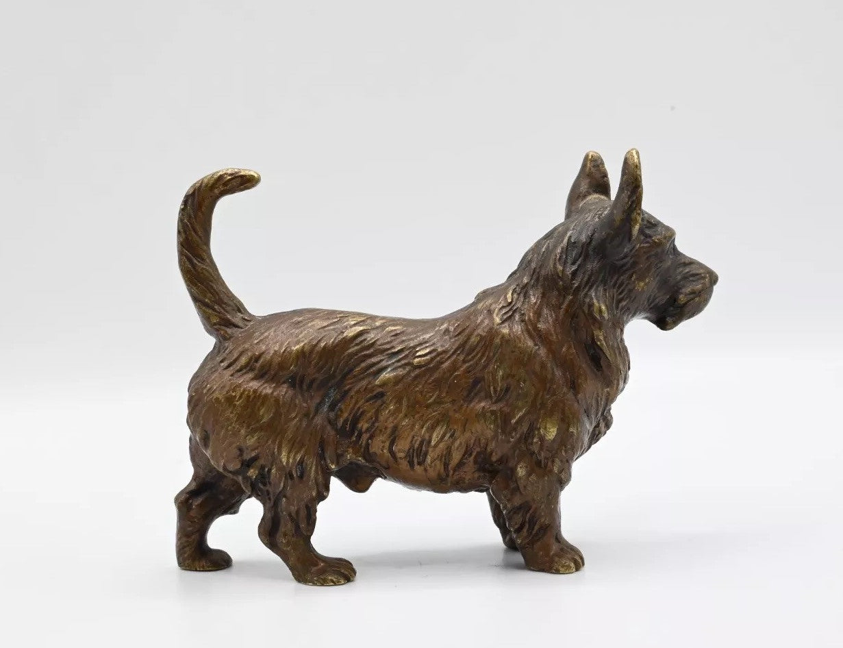 Wonderful Antique Bronze Figure Of Scottish Terrier Possibly German Or French2